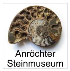 Logo des Steinmuseums
